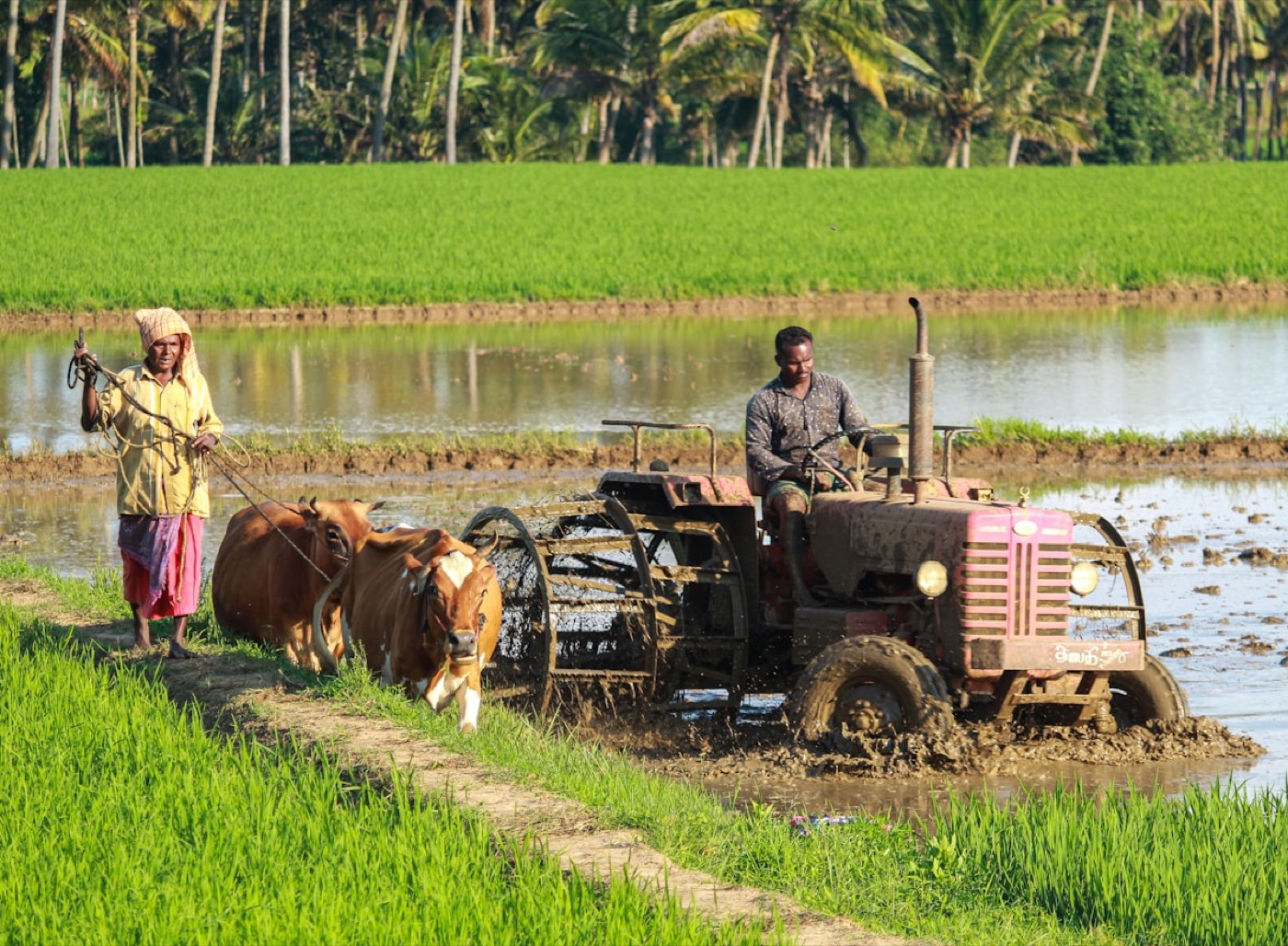 Farmers working in the field — Pinaaki Agro Industries