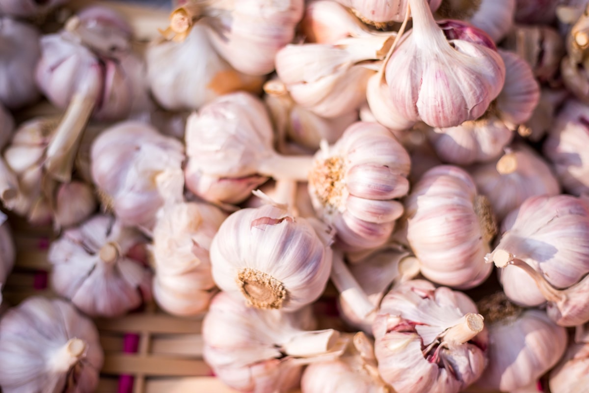 Fresh Garlic