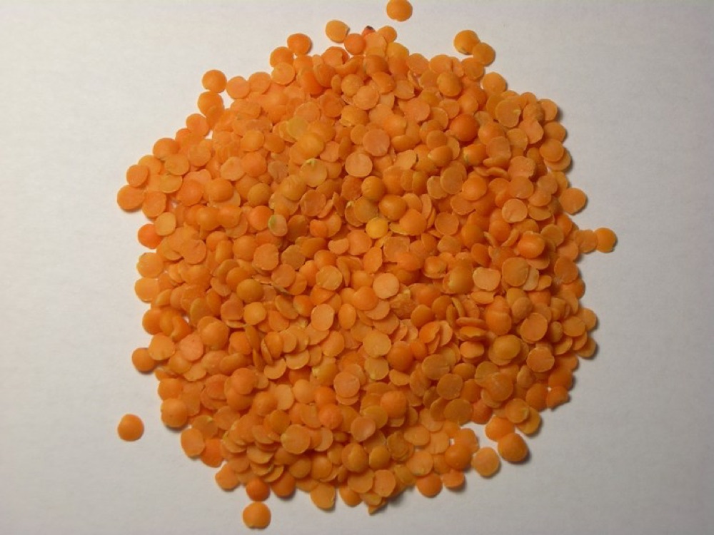 Masoor Daal